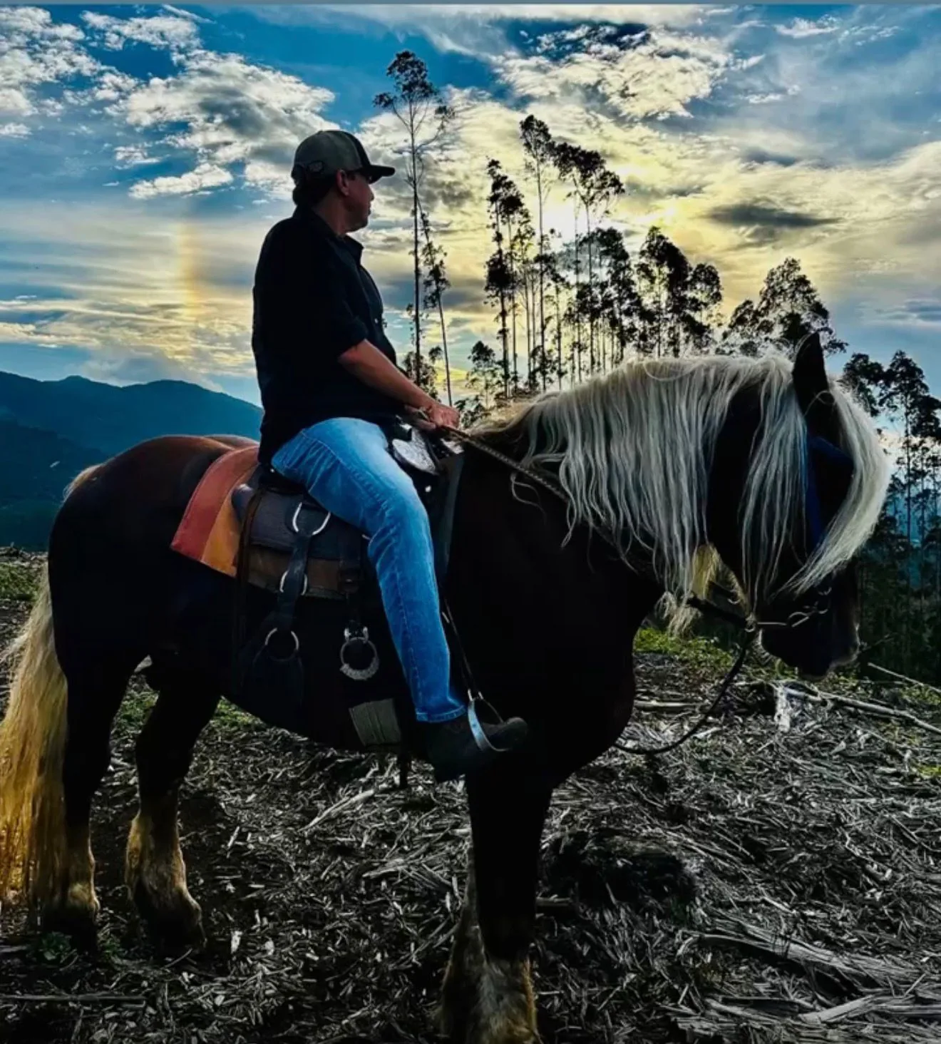 Cavalgada guiada por paisagem serrana em Monte Verde