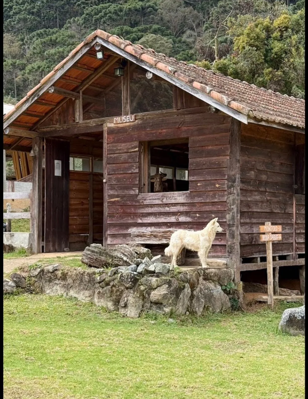 Cachoeira exclusiva da Fazenda Esperança em Monte Verde