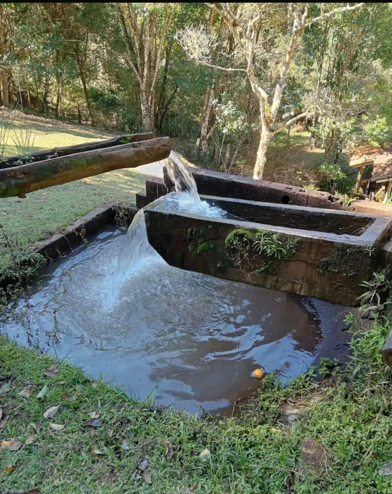 Trilha leve e natureza preservada da Fazenda Esperança